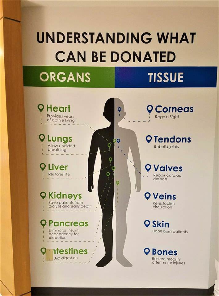 Organ Donation Banner